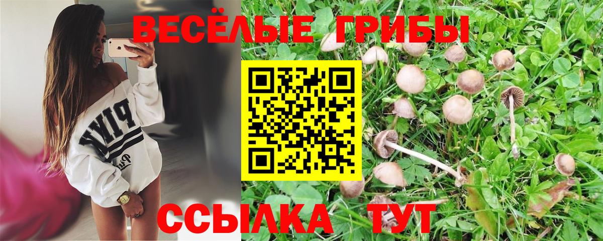 Альфа ПВП Ртищево