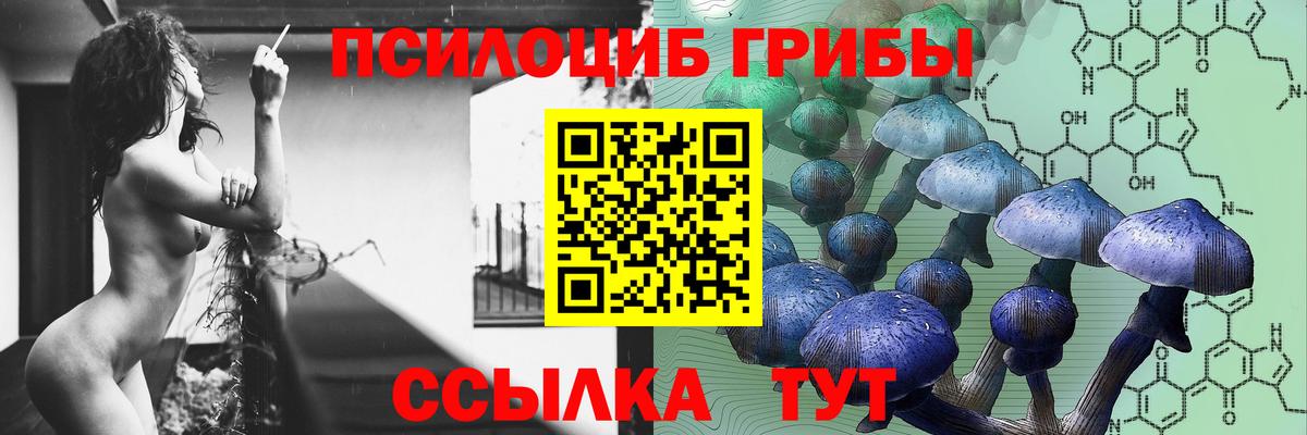 Галлюциногенные грибы GOLDEN TEACHER  Галлюциногенные грибы MAGIC MUSHROOMS  Вход с VPN  Ртищево 